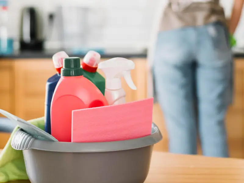 Is regular house cleaning available in Shoreditch