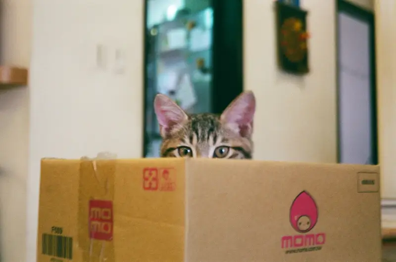 Packing and Unpacking Services for Notting Hill House Move