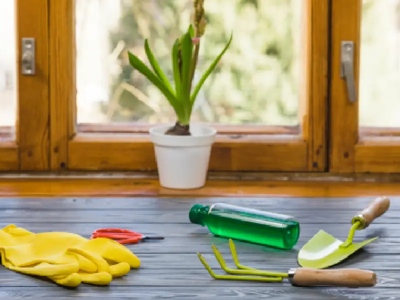 Most Affordable Cleaning Services in Stratford