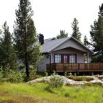 Small House Removals in London for Flats and Apartments